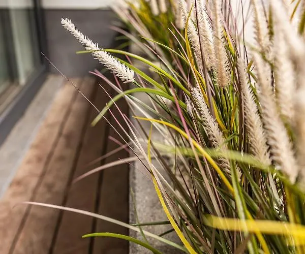 Milano - Casselbergh Residences Apartamento Ostende